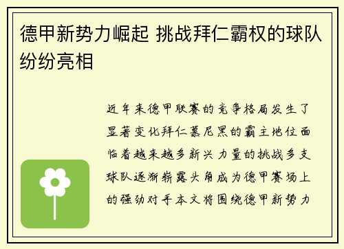 德甲新势力崛起 挑战拜仁霸权的球队纷纷亮相